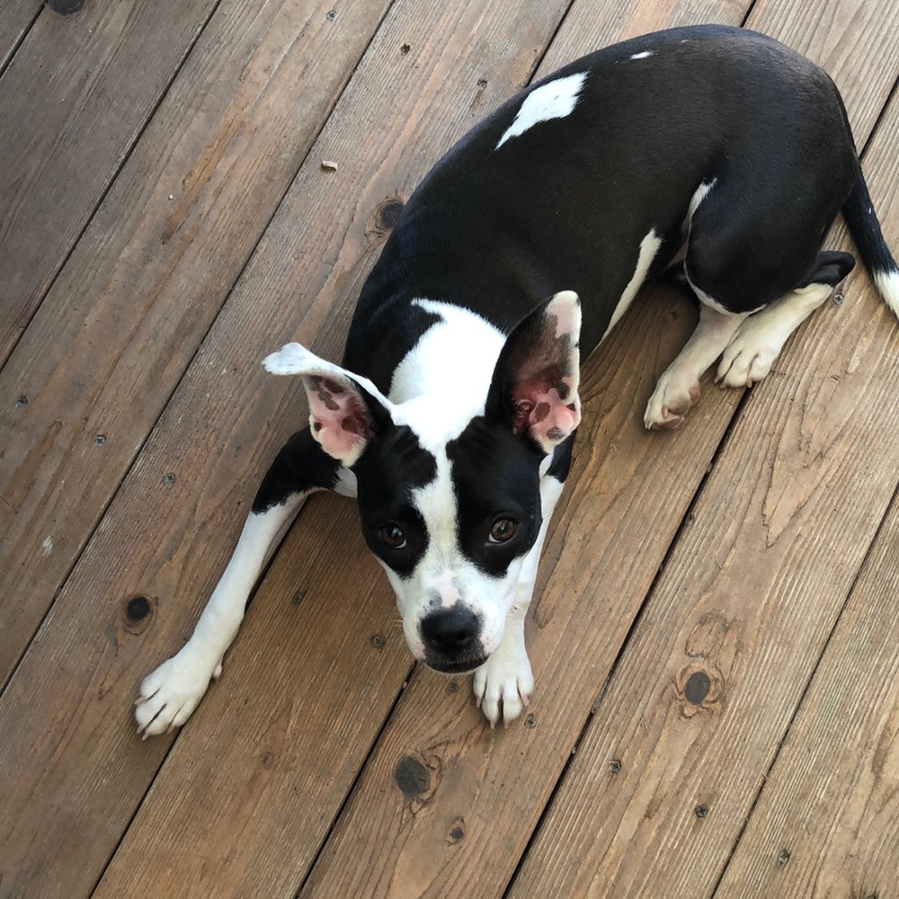 Travel jewelry/makeup pouch - hardly ever used!!! - Picture 5 of 8